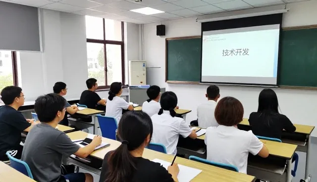 软件研发性能表现与实际场景适配分析